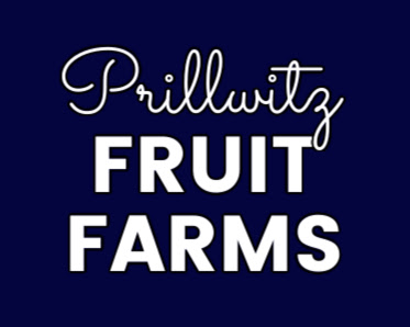 Prilliwitz